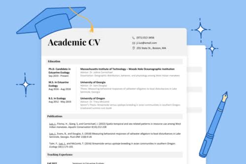 How to write a perfect academic CV